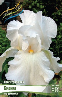 ���� ���������� ������