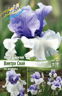 ���� ���������� ������ ����