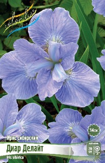 ���� ��������� ���� ������