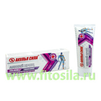 ������ ����. ������ ����. ����������