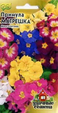 ��������,����� �������10 ��