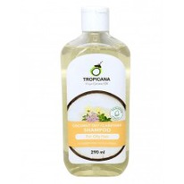 ��������� ������� ��������� ��� ������ �����