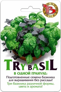 ������� Try Bazil ����������