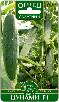 ������ ������ F1