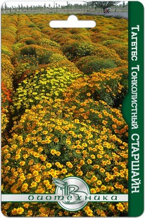 ������� ������������ ��������