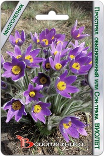 �������� ������������ ��� ���-����� ������