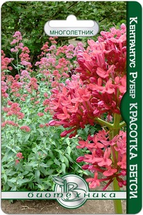 ���������� ����� �������� �����