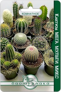 ������� ���� ������ ����