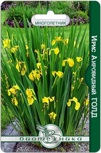 ���� ���������� ����