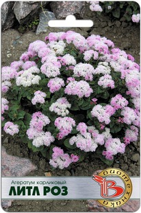 �������� ���������� ���� ���