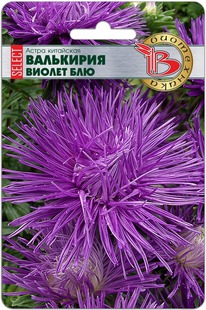 ����� ��������� ��������� ������ ������ ���