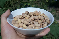 �������� ������� XL, 0,5 ��