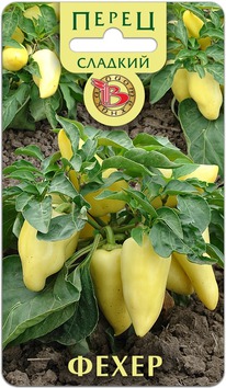 ����� ������� �����