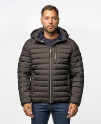 ������ ZAA zd_6068