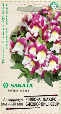 ������ ������ ������� �������� F1 ������� ���