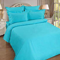      150217, , 100% , . 110 ./. .,  