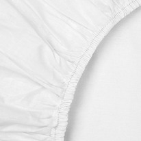        12020020, , 100% , . 110 ./