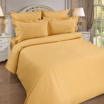      180217, , 100% , . 110 ./. .,  