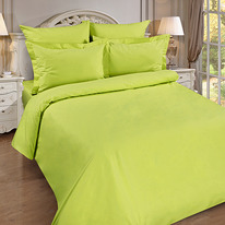      240217, , 100% , . 110 ./. .,  