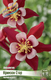 ��������� ������� ����