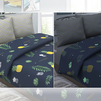   Insight  1,5 , , 100% , . 118 ./..,  