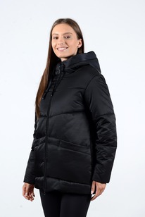 ������ ������