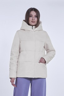 ������ ����