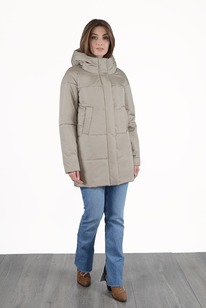 ������ ����