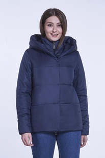 ������ ����