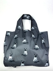 ���� (����) ������ 11 � ��������� �������