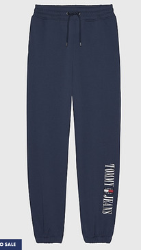 TH RETRO LOGO SWEATPANT Blue/Multi