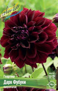 �������� ���� ������, �������., �-� I