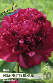 ���� ���� ������ ������, 2/3n