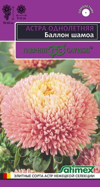 ������ �����, ����� �������������