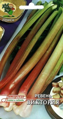 ������ ��������