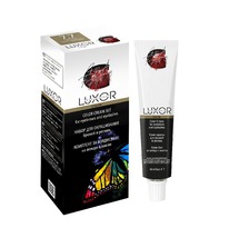 Luxor Professional  ����-������ �/����.� ����.1.0 - ������������ ������, 40+60��