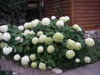 ��������� ��������� �9