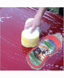 ����� ��� ����� ���� 904604