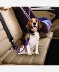 ������ ������������ ��� ����� 9046115