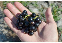 ��������� ������ �������