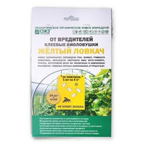 ������� ������� ������� ������ ������