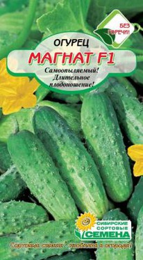 ������ F1 ������