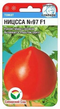 ������ 97 F1 �����