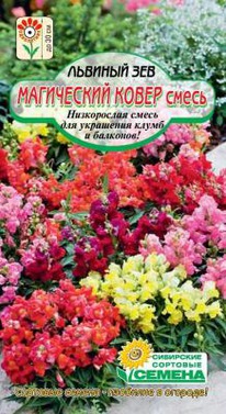 ���������� ����� ������� ���