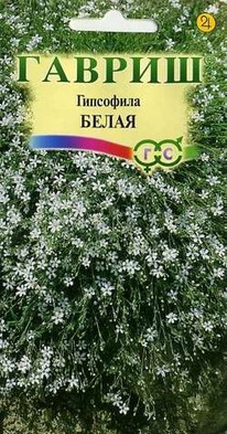 ����� �������� ���������