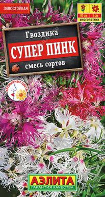 ����� ���� ������ �����,�������� 40��