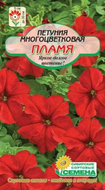 ����� ������� ��������������