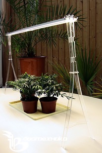 LED ��������� ��� ������� � ������ �����-��� PW ����������