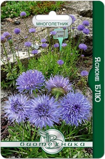 ������ ���