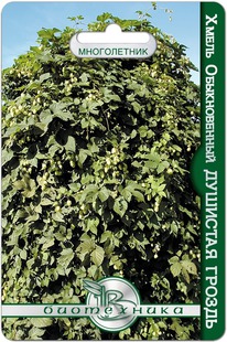 ����� ������������ �������� ������